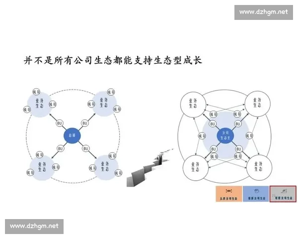 体育行业资本运作创新模式与产业生态重构路径战略实践探索